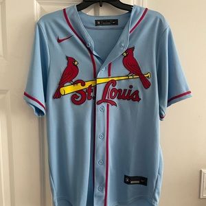 Mens Nike 2021 Baby Blue Alternate St Louis Cardinals Yadier Molina Jersey.